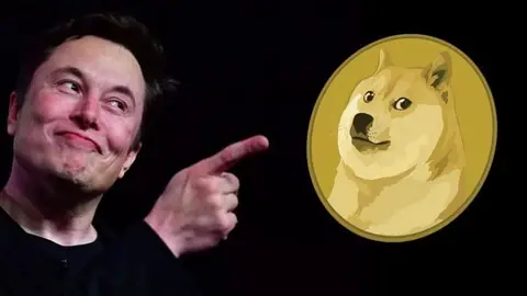 Elon Musk's Effect Is Back On Board: Dogecoin Grew By 14%