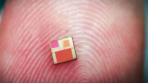 Cardano Is Working on Cryptocurrency Chips