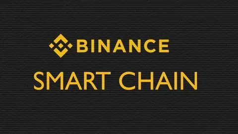 Binance Smart Chain Unique Addresses Increase by 2265%