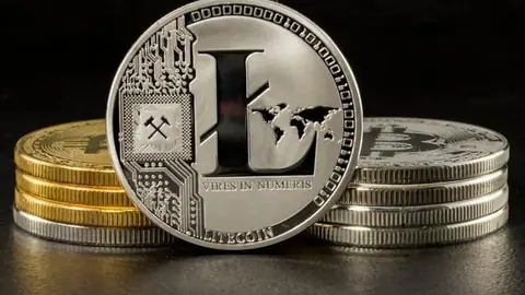 Grayscale Accumulated 178,691 LTC Worth $30.7 Mln