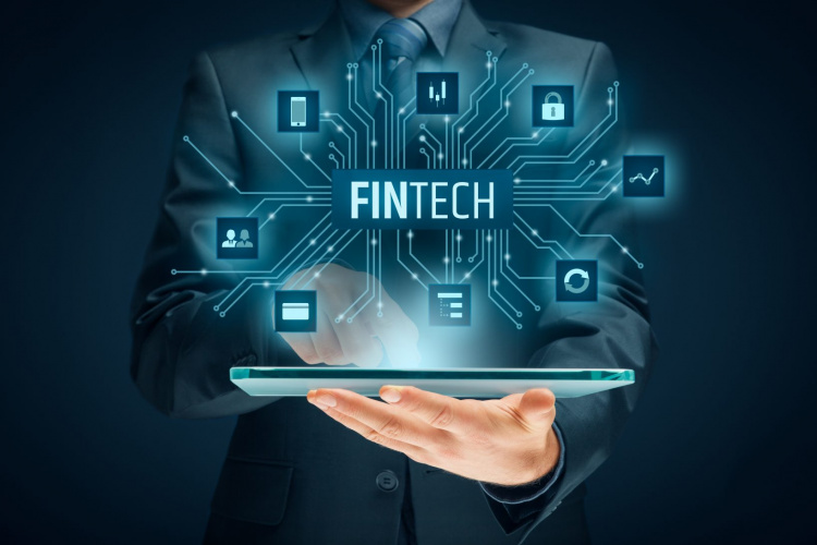 Fintech Monsters: Adyen and Robinhood Markets